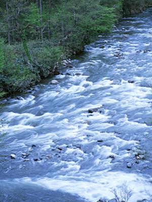 山口・新山口駅から徒歩1分！快適な滞在を提供する東横INN新山口駅新幹線口の魅力と詳細情報