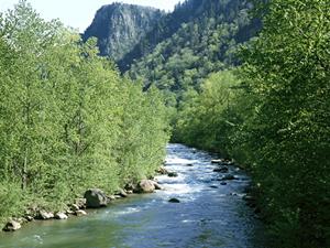 羽田空港直結の快適な宿泊と便利な設備を提供する住友不動産ヴィラフォンテーヌの魅力