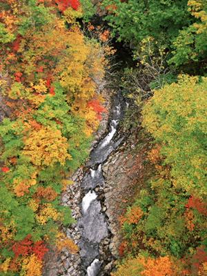 横浜のビジネスホテルの決定版｜東横イン横浜スタジアム前2の魅力と詳細情報