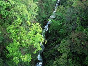 金沢観光の醍醐味！金箔体験で伝統工芸を堪能しよう！