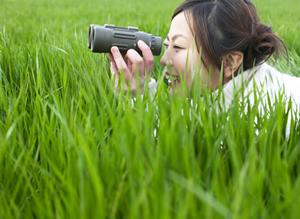 嬉野温泉でおすすめの宿とは