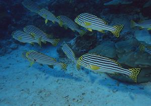 【公式】東横INN伊勢松阪駅前 | 三重県松阪市のビジネスホテルで快適な滞在を提供
