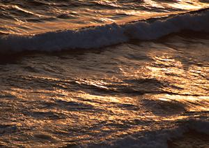 広島県東広島市に位置する快適なビジネスホテル「東横INN東広島西条駅前」の魅力徹底解説
