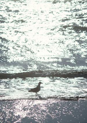 横浜・相模原のビジネスホテルなら東横INNJR横浜線相模原駅前｜快適さと利便性を兼ね備えた宿泊体験