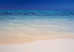 大阪で快適なビジネス・観光滞在が可能！東横INN新大阪中央口新館の魅力と詳細情報