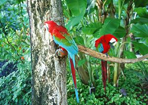 東横イン西武池袋線東久留米駅西口：快適なビジネス・観光拠点と便利なアクセス情報