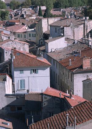 大阪・堺市に位置する便利なビジネスホテル｜東横INN堺東駅の魅力と施設情報