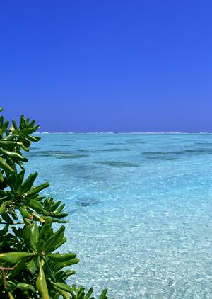 石川県金沢市にある東横INN金沢駅東口の魅力と詳細情報