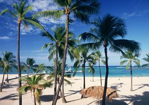 足利駅から徒歩1分！東横INN栃木足利駅北口の魅力と詳細情報