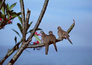 尼崎駅徒歩1分の快適なビジネスホテル【東横INN阪神尼崎駅前】の魅力と詳細情報