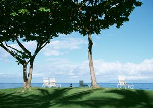 山口県周南市で宿泊できるビジネスホテル｜東横INN徳山駅新幹線口の魅力と詳細情報