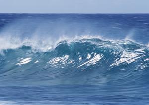 マルセイユの観光とビジネスに最適なホテル：東横INNマルセイユ・サンシャルルの魅力と特徴