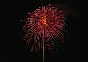 大阪で見つける！アニメグッズ豊富なおすすめストアと最新情報